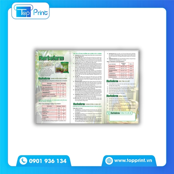 Brochure phân bón ấn tượng cho thương hiệu nông nghiệp