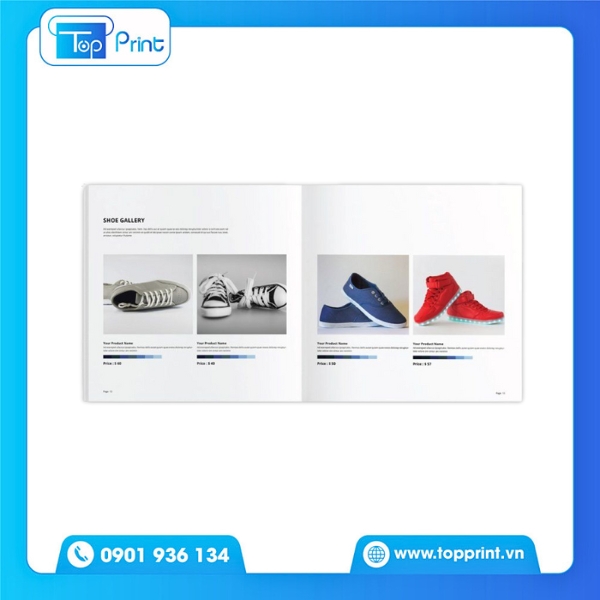 Mẫu catalogue giày thời trang nữ cao cấp