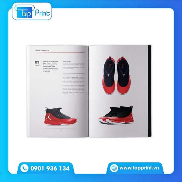 In catalogue giày sneaker street style