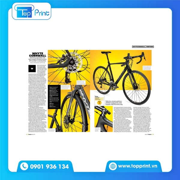 In catalogue xe đạp kết hợp phong cách retro 