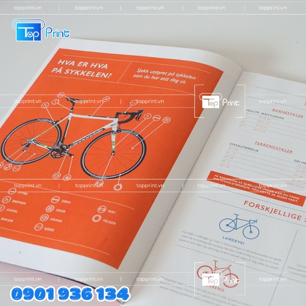 Mẫu catalogue xe đạp thể thao in ấn chuyên nghiệp