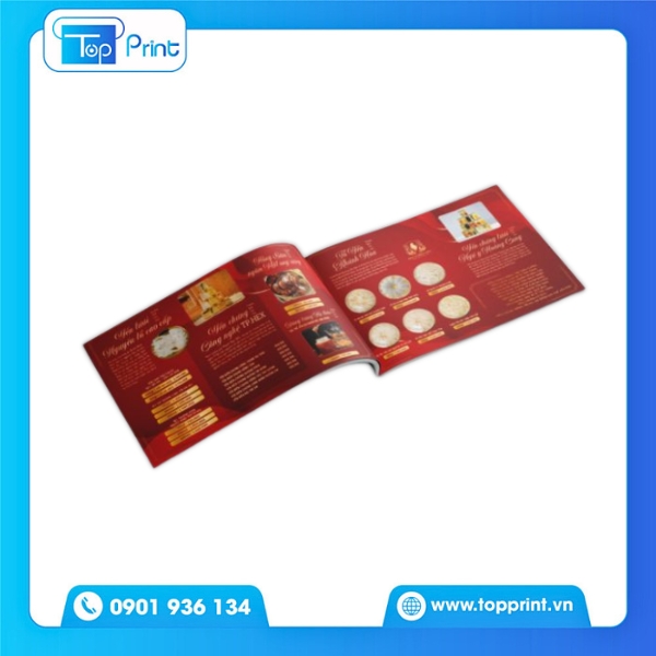 Thiết kế mẫu catalogue yến sào dạng gấp 3 (brochure)