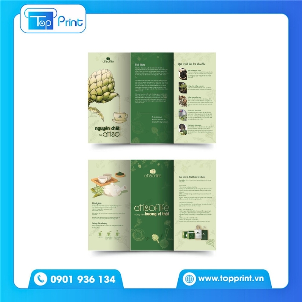 Mẫu Brochure Trà Màu Xanh Ấn Tượng