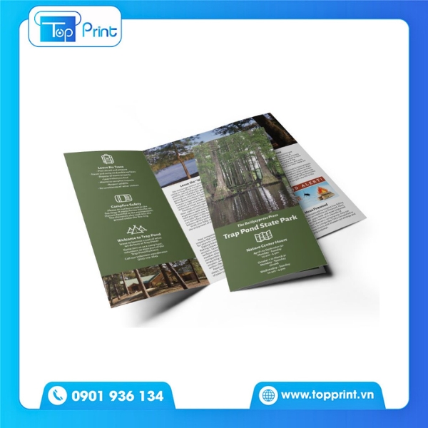Mẫu In Brochure Đẹp Mắt In Tại Topprint