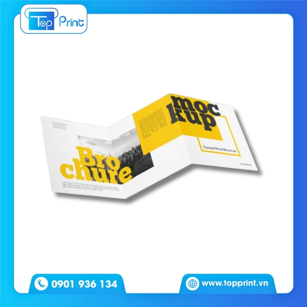 Mẫu Brochure Mockup Thiết Kế Ấn Tượng