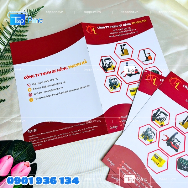 In catalogue lấy nhanh giao tận nơi