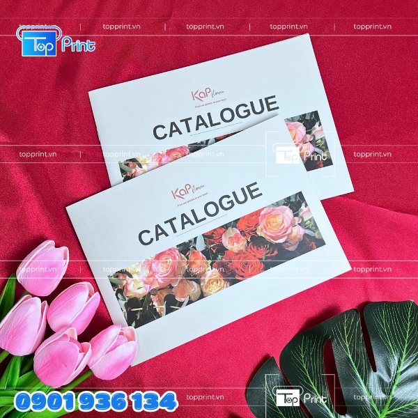 In catalogue giới thiệu sản phẩm chuyên nghiệp