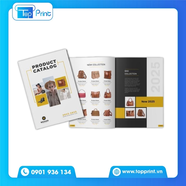 Mẫu catalogue sản phẩm quảng cáo sáng tạo