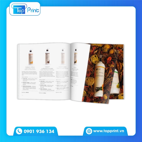 Mẫu catalogue sản phẩm giới thiệu thương hiệu