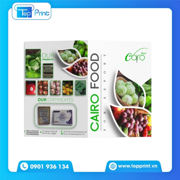 Mẫu brochure tr&aacute;i c&acirc;y s&aacute;ng tạo hiện đại