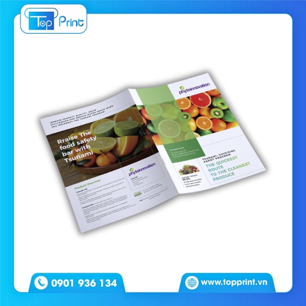 Mẫu brochure tr&aacute;i c&acirc;y phong c&aacute;ch hiện đại &ndash; s&aacute;ng tạo