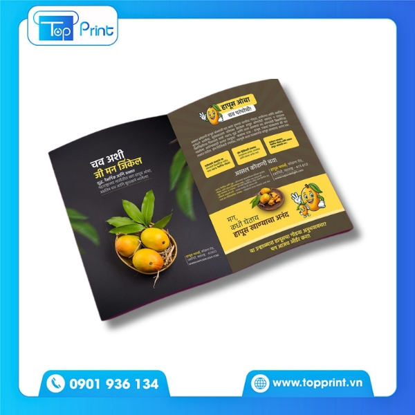 Mẫu brochure tr&aacute;i c&acirc;y tươi sạch hiện đại