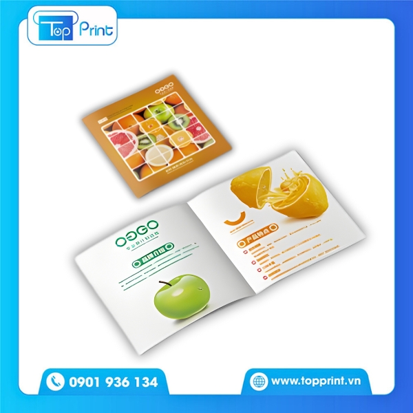 Mẫu brochure tr&aacute;i c&acirc;y d&ugrave;ng cho sự kiện quảng b&aacute;