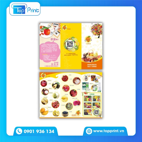 Mẫu brochure tr&aacute;i c&acirc;y m&agrave;u sắc nổi bật