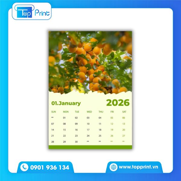 Mẫu in lịch treo tường 5 tờ Tết Đinh M&ugrave;i 2027 linh vật D&ecirc; v&agrave;ng t&agrave;i lộc