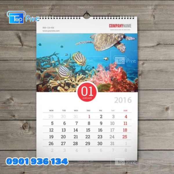 Mẫu lịch treo tường 12 th&aacute;ng l&ograve; xo 13 tờ thiết kế sang trọng