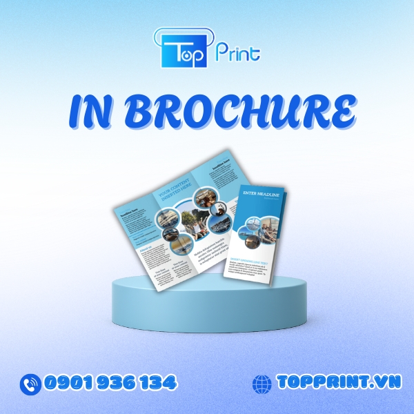 In Brochure