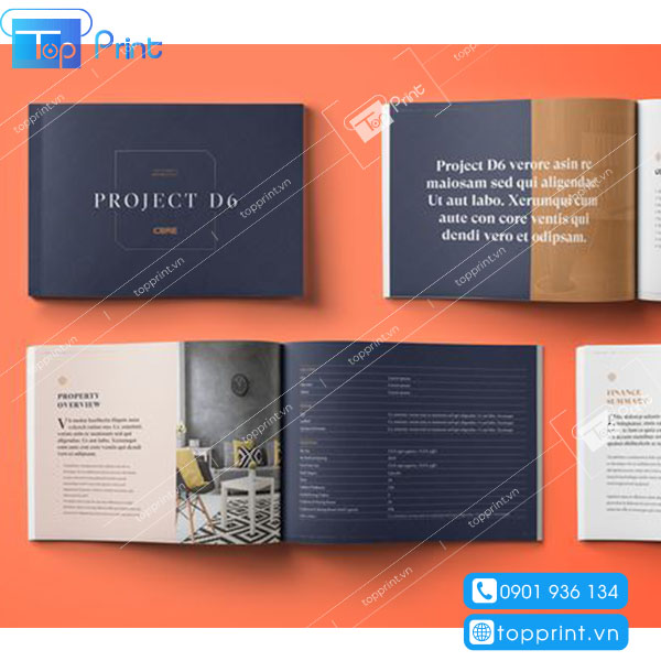 Topprint là cơ sở chuyên in ấn thiết kế các loại Catalogue