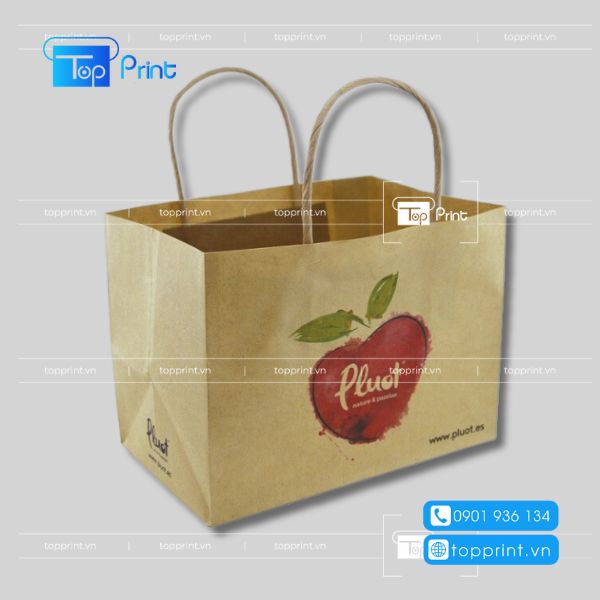 Các mẫu túi giấy đựng trái cây hoa quả tại Topprint