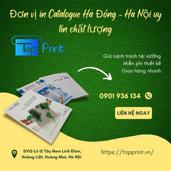 Địa chỉ in catalogue giá rẻ tại Hà Đông - Hà Nội