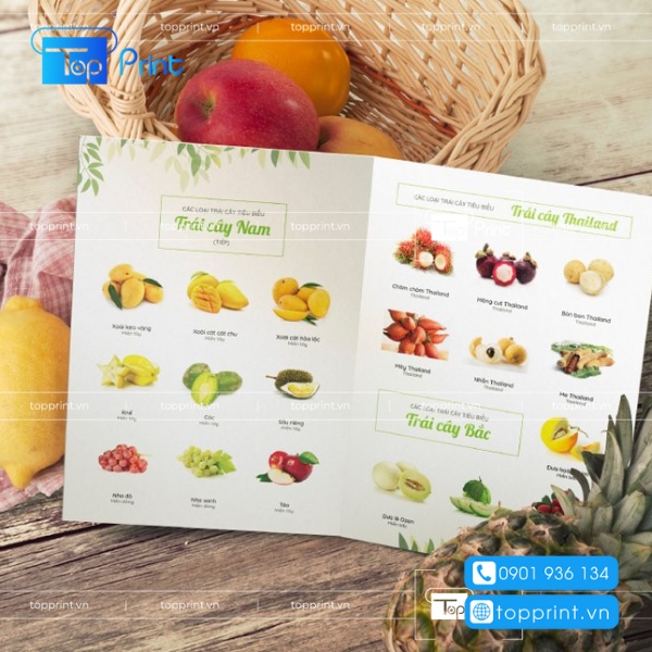 Brochure mẫu hoa quả các loại