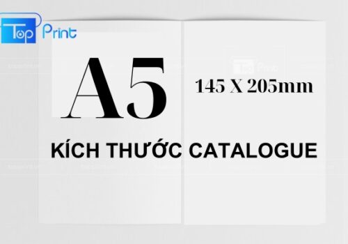 kich thuoc catalogue
