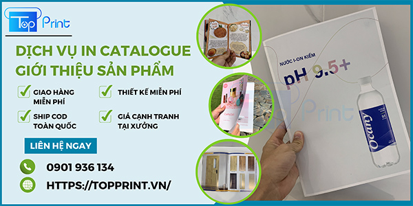 Dịch vụ in catalogue giới thiệu sản phẩm giá rẻ tại TPHCM và Hà Nội