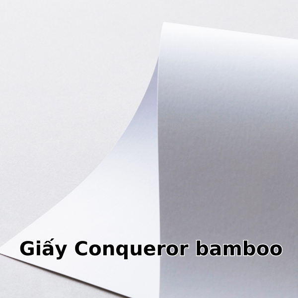 giay Conqueror bamboo